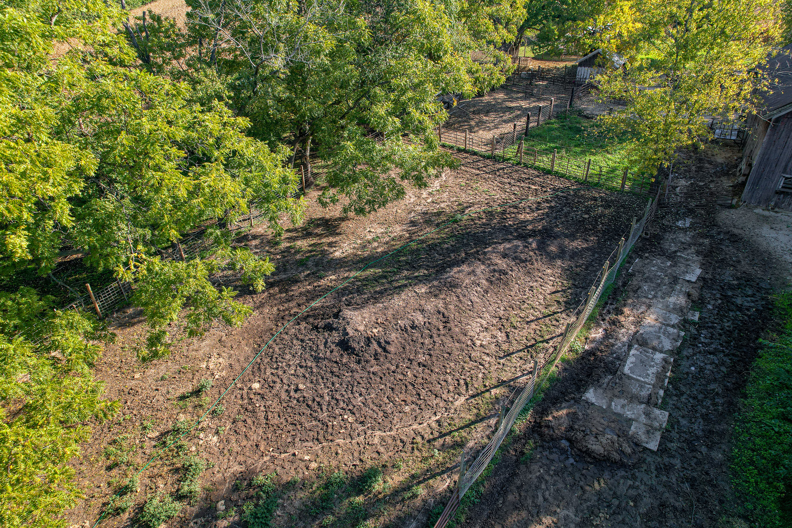 9282 East Hemstock Road Rochelle, IL 61068 - Photo 58 of 68 a view of a yard with plants and large trees