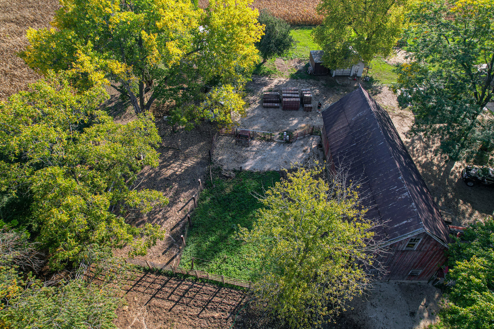 9282 East Hemstock Road Rochelle, IL 61068 - Photo 60 of 68 a view of a yard