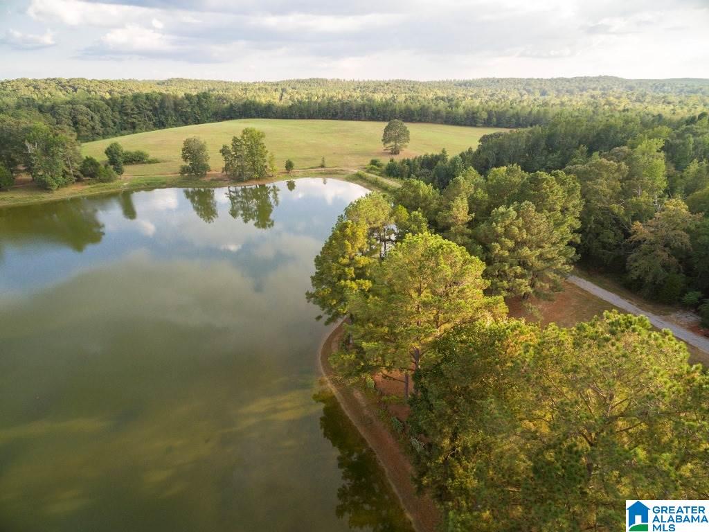 2307 County Road 46 Montevallo, AL 35115 - Photo 35 of 45