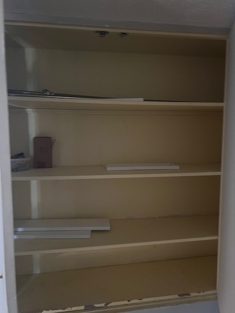 7210 Oak Avenue, Unit 3SW River Forest, IL 60305 - Photo 18 of 20 a close view of closet