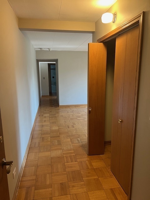 7210 Oak Avenue, Unit 3SW River Forest, IL 60305 - Photo 20 of 20