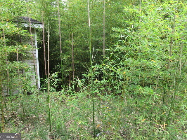190 Youngblood Road Southeast Milledgeville, GA 31061 - Photo 6 of 37 a view of a garden