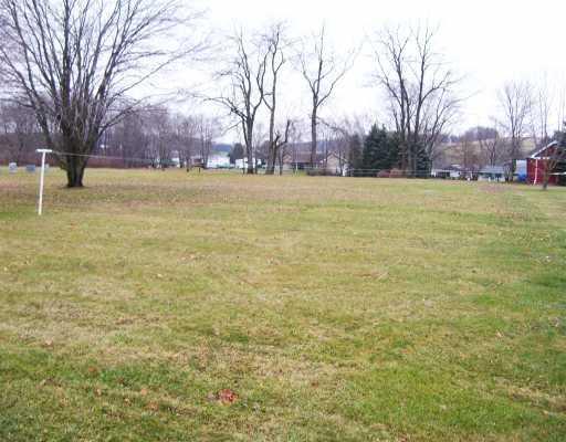 Yard/Garden. Large flat back yard.