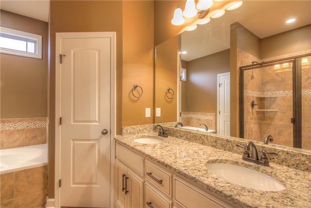 245 Amazonway Ridge Lascassas, TN 37085 - Photo 7 of 15 Gallery Image 7