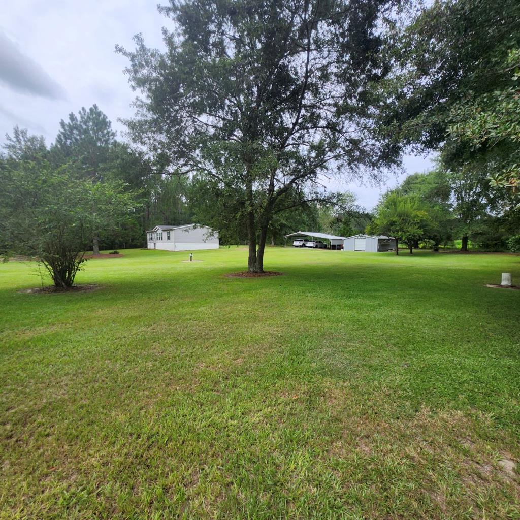 786 Blackberry Road Baconton, GA 31716 - Photo 44 of 67 Gallery Image 44