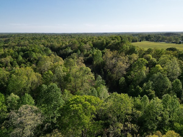 1275 State Highway 48 Dickson, TN 37055 - Photo 9 of 14 a view of a green field