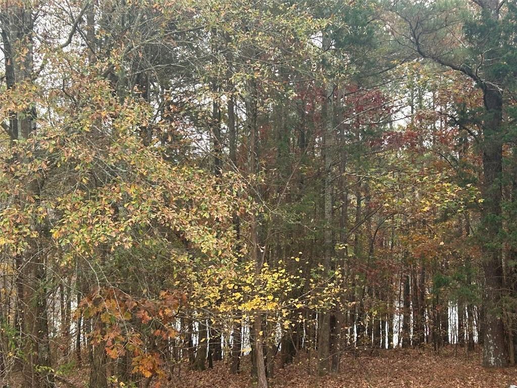 3220 Waterplace Cove Villa Rica, GA 30180 - Photo 33 of 36 a view of forest