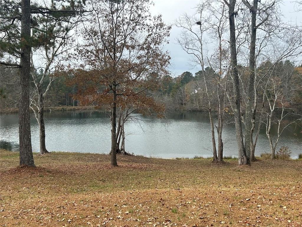 3220 Waterplace Cove Villa Rica, GA 30180 - Photo 34 of 36 a view of a lake view