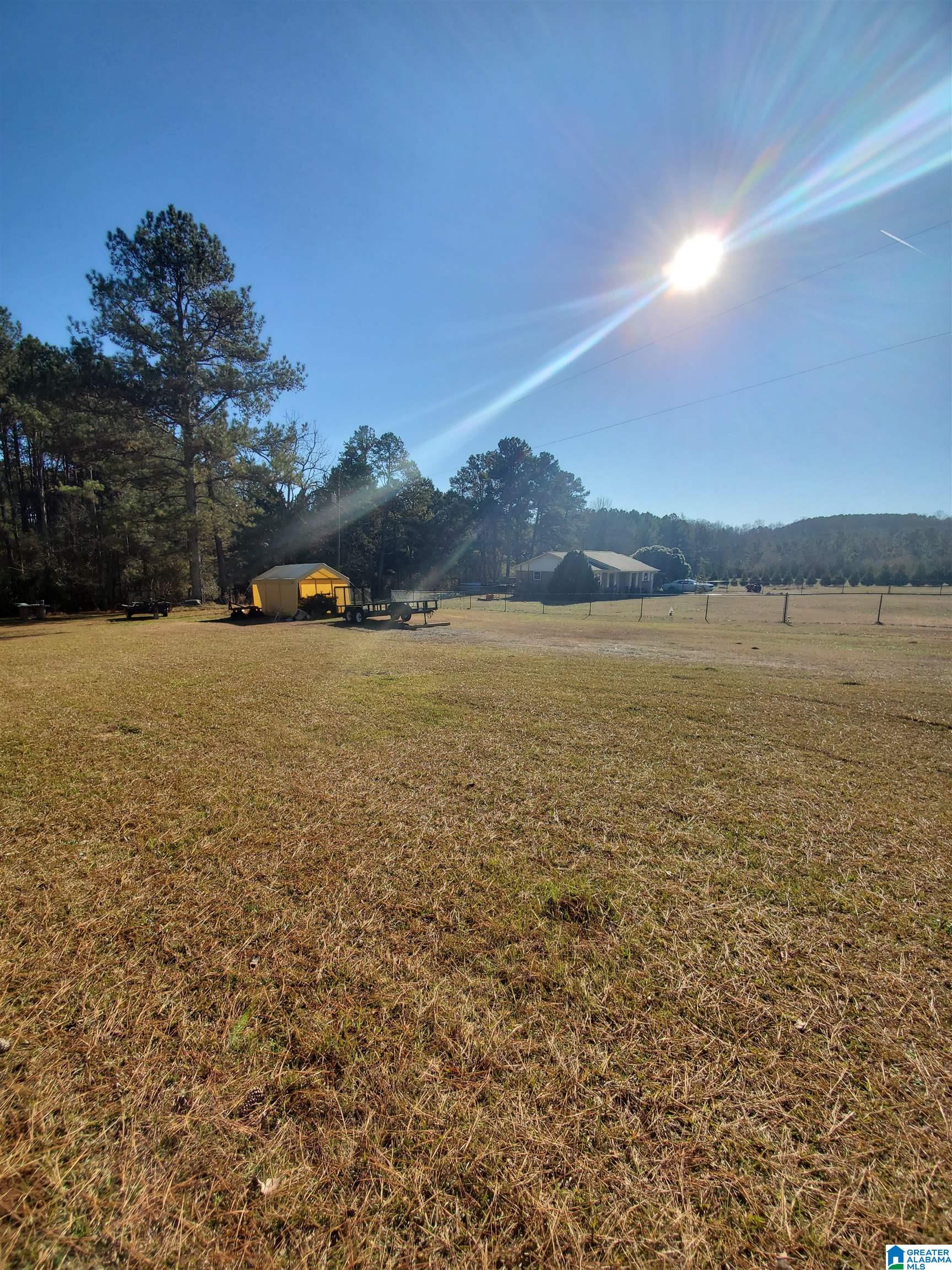 681 Graves Cemetery Road Blountsville, AL 35031 - Photo 15 of 22