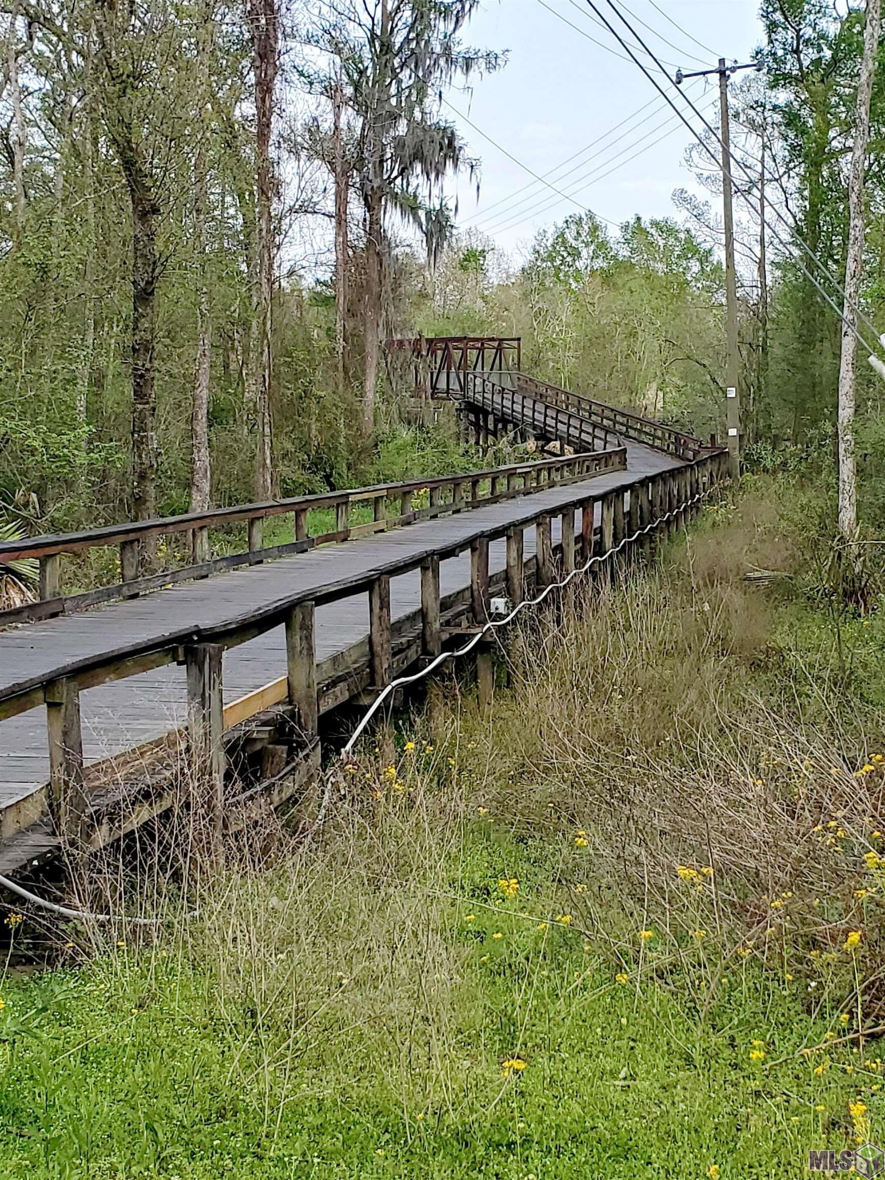 20996 Diversion Canal Road St. Amant, LA 70774 - Photo 13 of 44