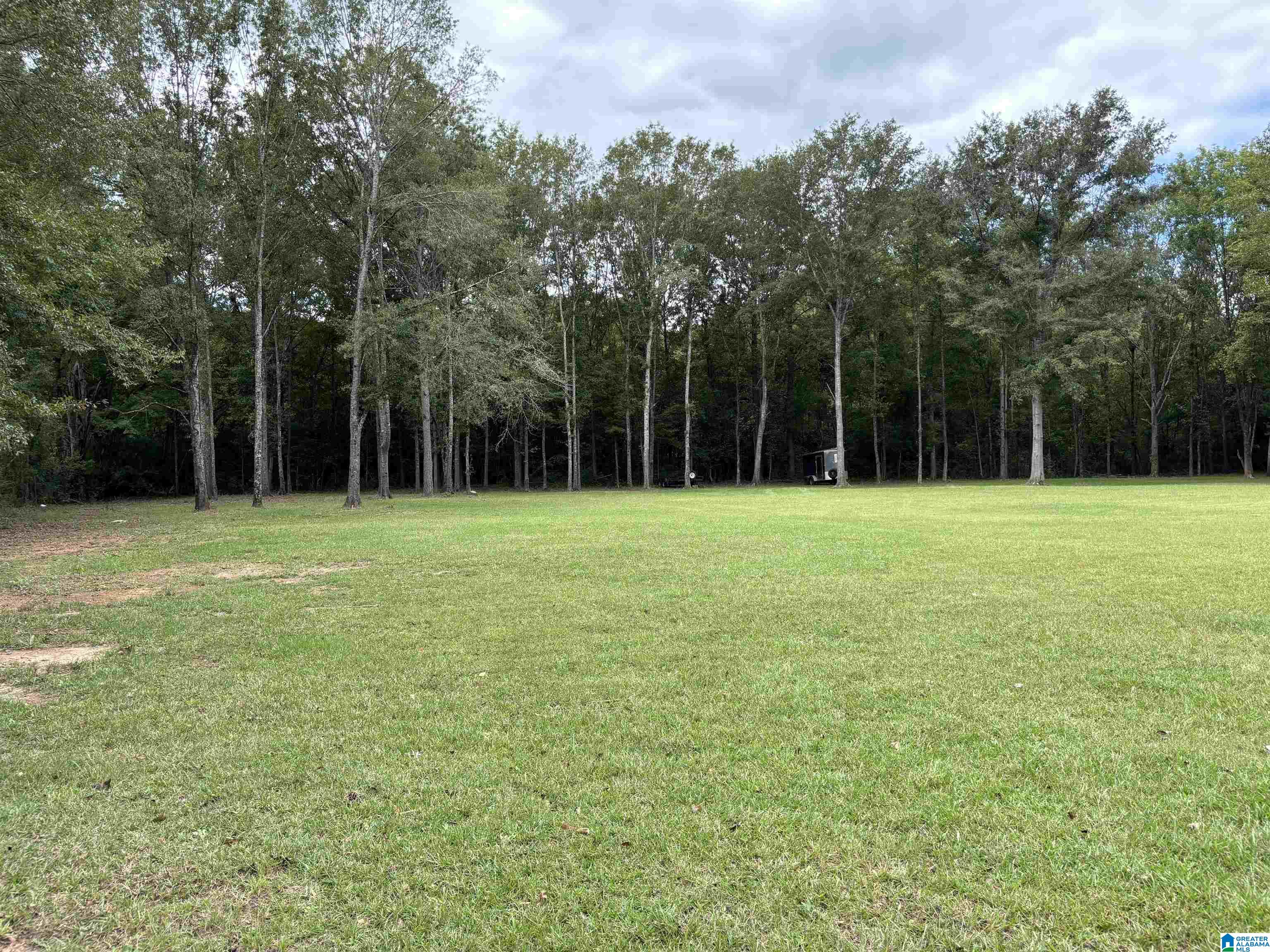 234 Mcgowan Road Wilsonville, AL 35186 - Photo 12 of 28