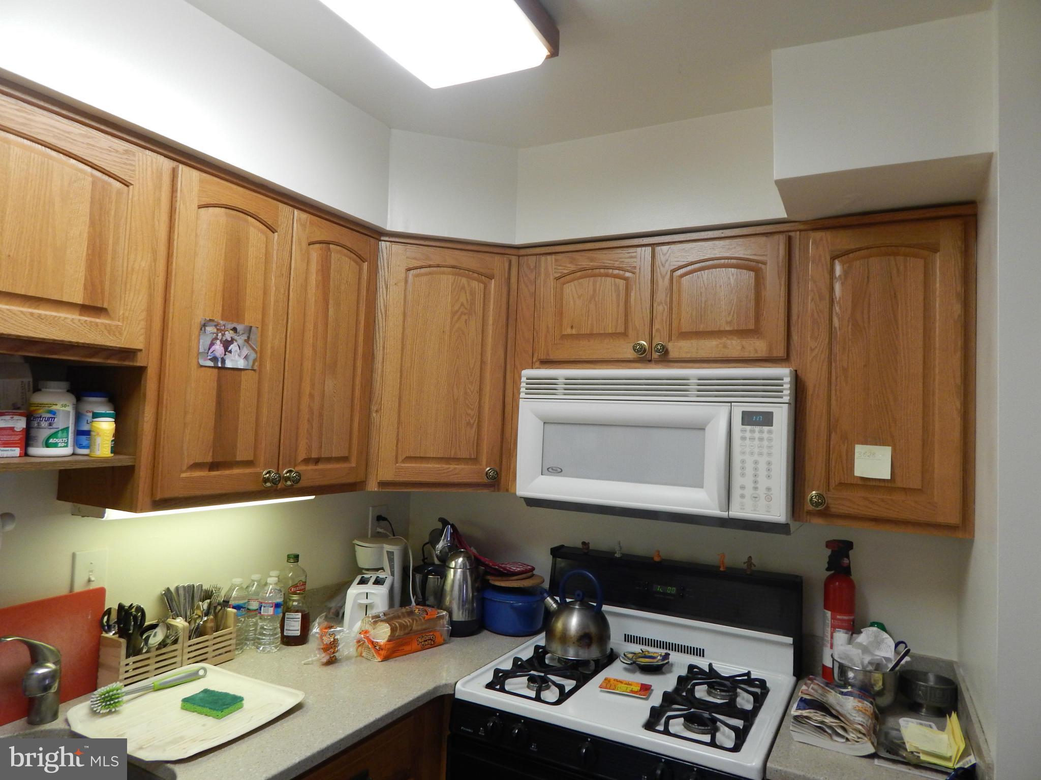 2105 Walsh View Terrace, Unit 15102 Silver Spring, MD 20902 - Photo 12 of 30 Kitchen