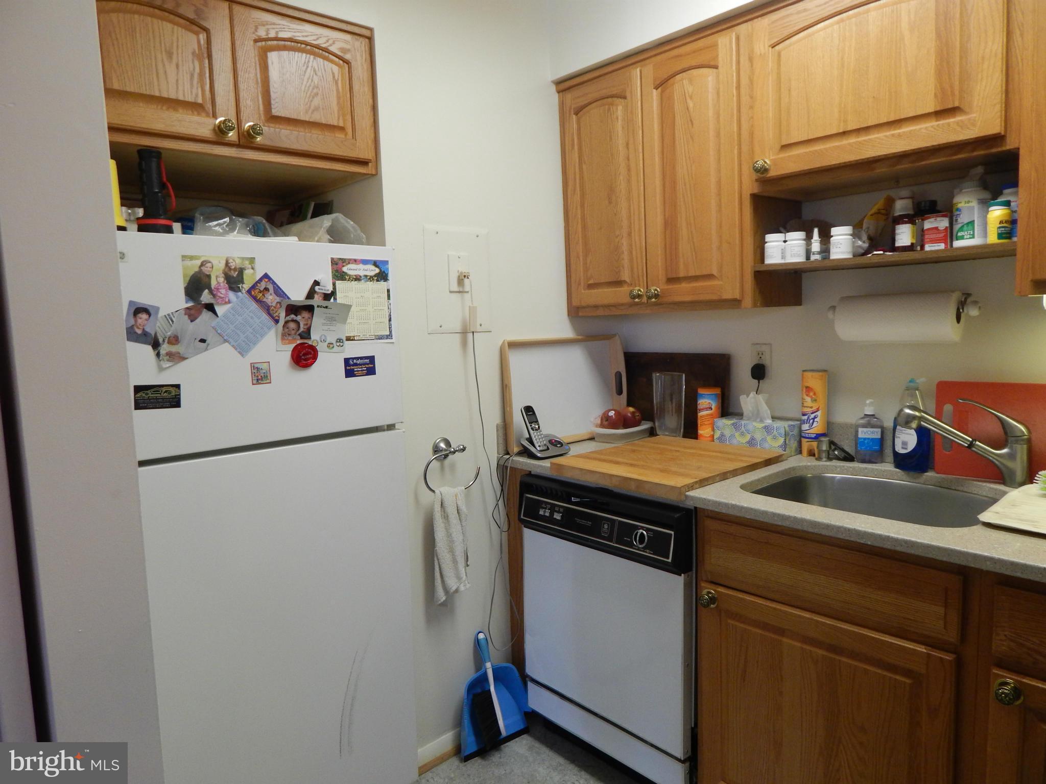 2105 Walsh View Terrace, Unit 15102 Silver Spring, MD 20902 - Photo 13 of 30 Kitchen