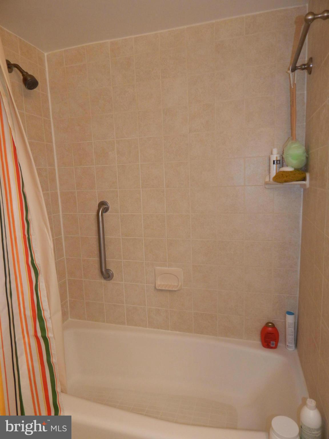 2105 Walsh View Terrace, Unit 15102 Silver Spring, MD 20902 - Photo 14 of 30 Bath (Master)