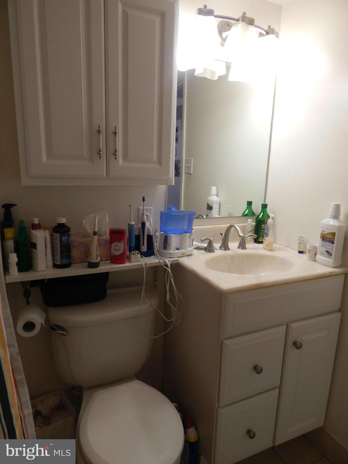 2105 Walsh View Terrace, Unit 15102 Silver Spring, MD 20902 - Photo 16 of 30 Bath (Master)