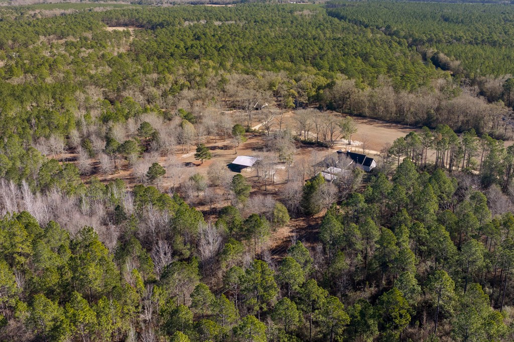 9822 Bill Bass Road Andalusia, AL 36420 - Photo 62 of 71