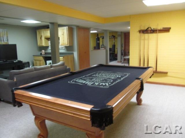 3597 Gady Road Tecumseh, MI 49286 - Photo 18 of 24 50006104-17.JPG