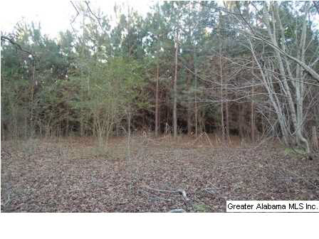 66 County Road, Unit 50 Woodland, AL 36280 - Photo 8 of 12