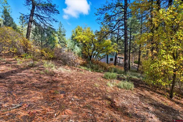 a view of a backyard with large trees