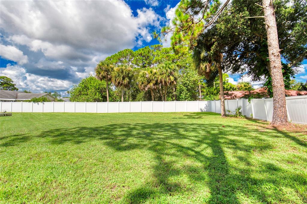 276 Farmbrook Road Port Orange, FL 32127 - Photo 49 of 62 a view of yard with grass and trees