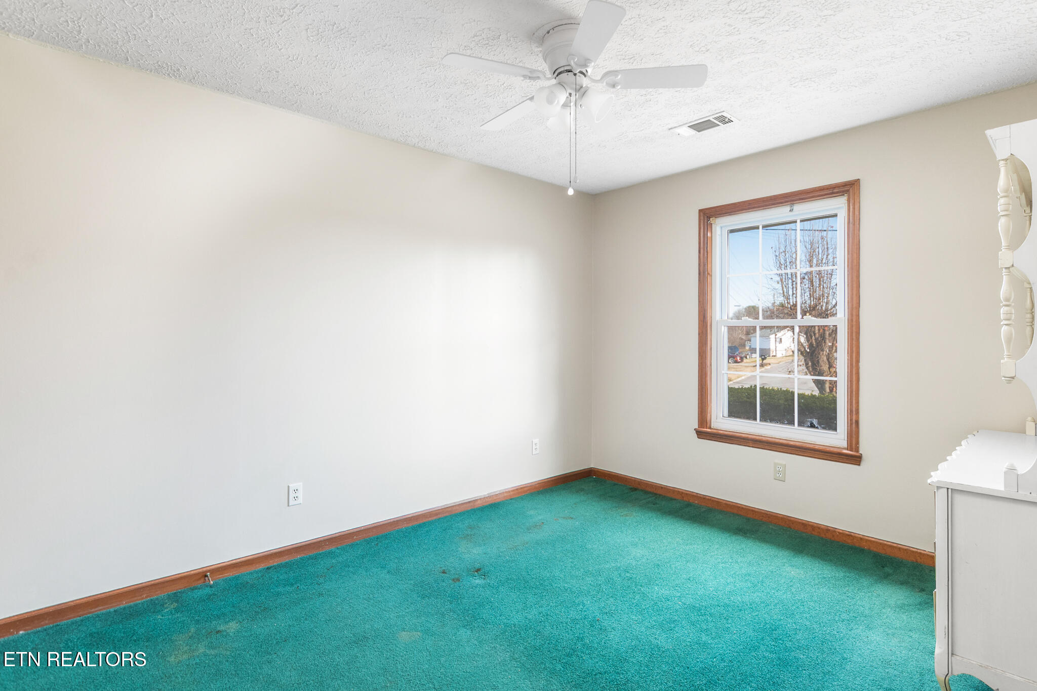 113 Sunflower Loop Seymour, TN 37865 - Photo 15 of 31 113_SL-18