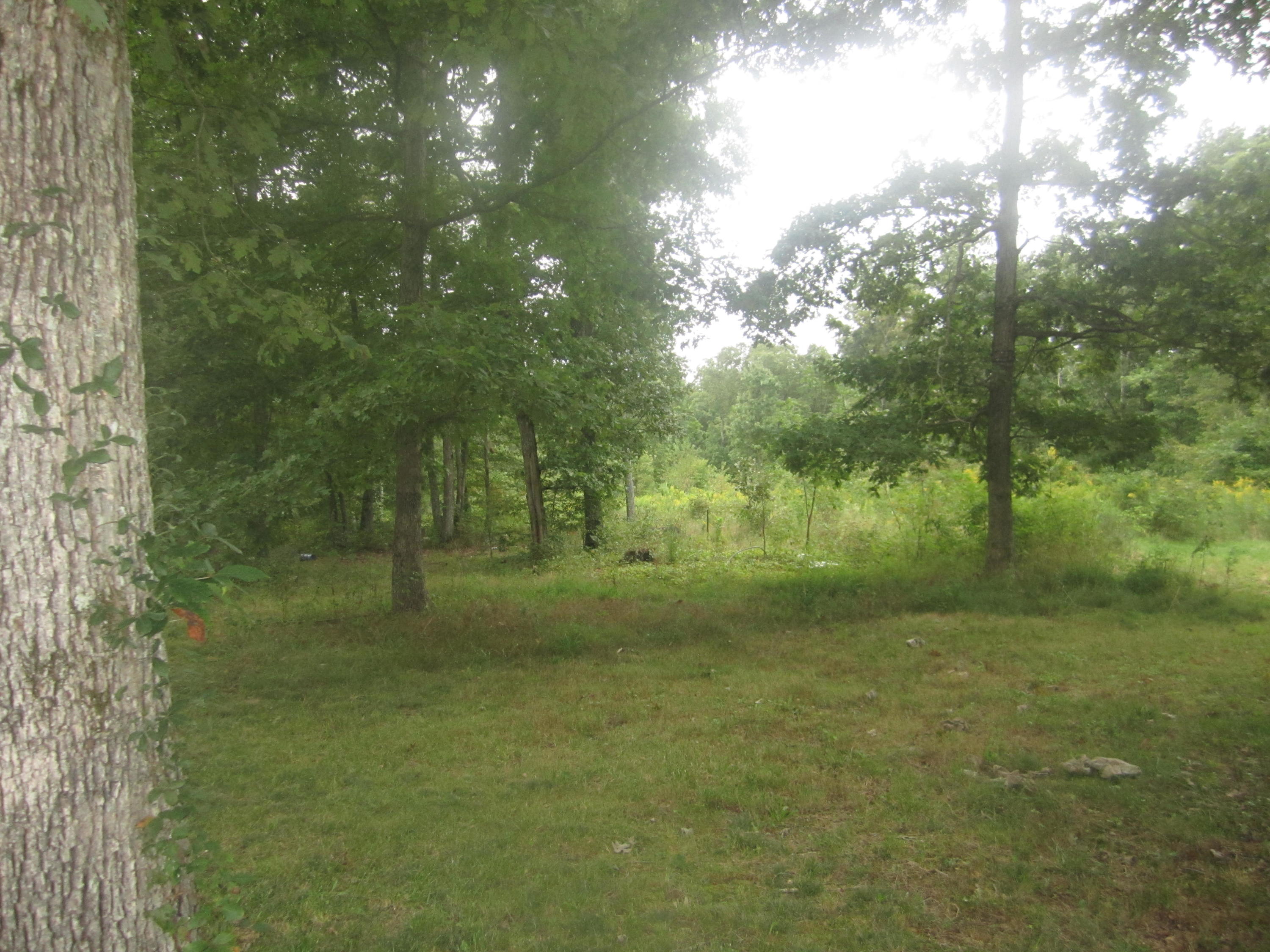 611 Ormes Road Crossville, TN 38572 - Photo 22 of 24 IMG_3853