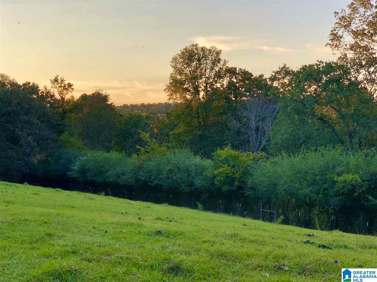 2441 Old Hayden Road Warrior, AL 35180 - Photo 14 of 42
