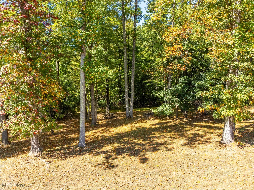 34561 Sunshine Road Piedmont, OH 43983 - Photo 8 of 31