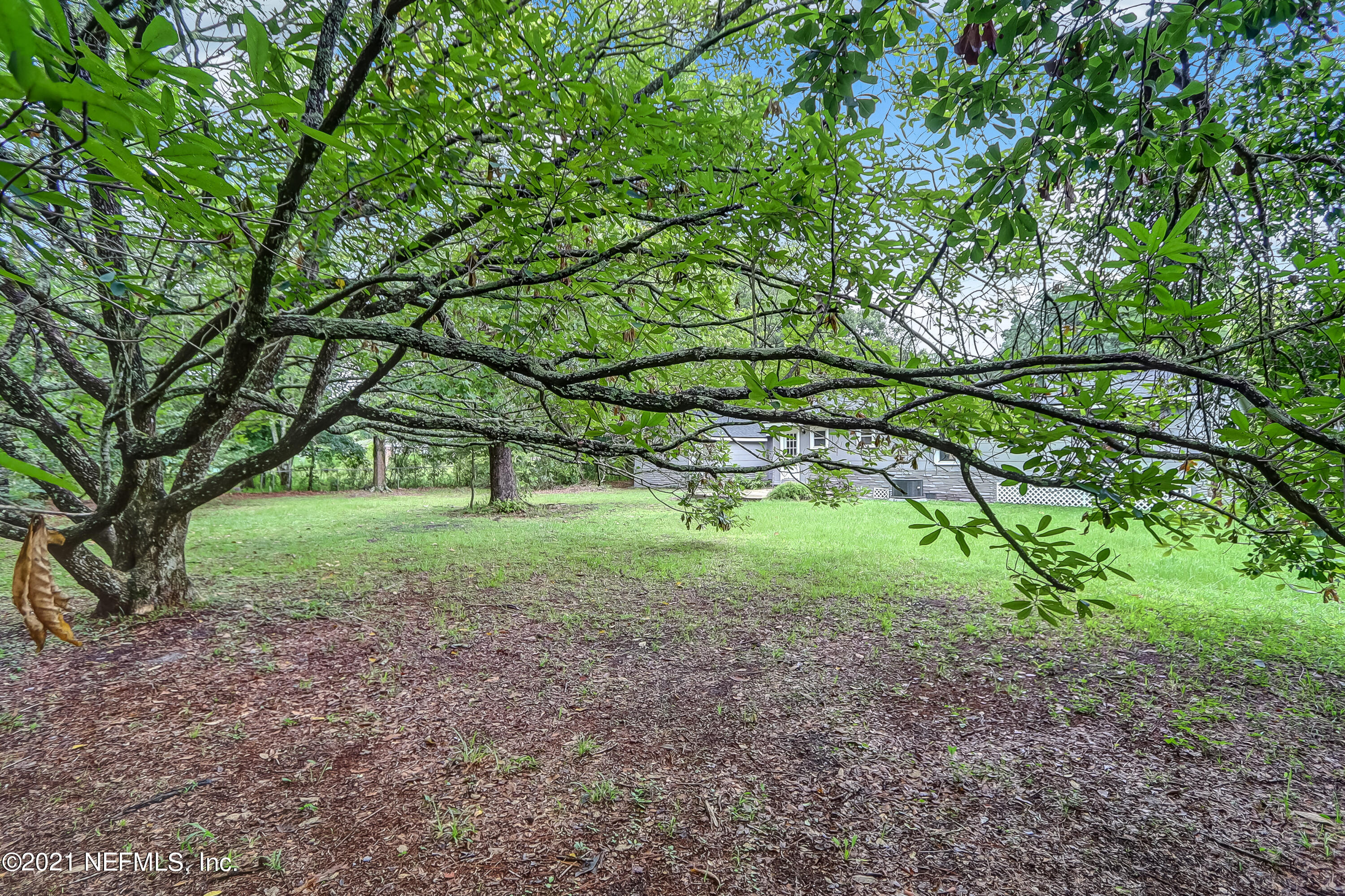 1416 Fred Gray Road Jacksonville, FL 32218 - Photo 8 of 34 a view of a yard with a tree