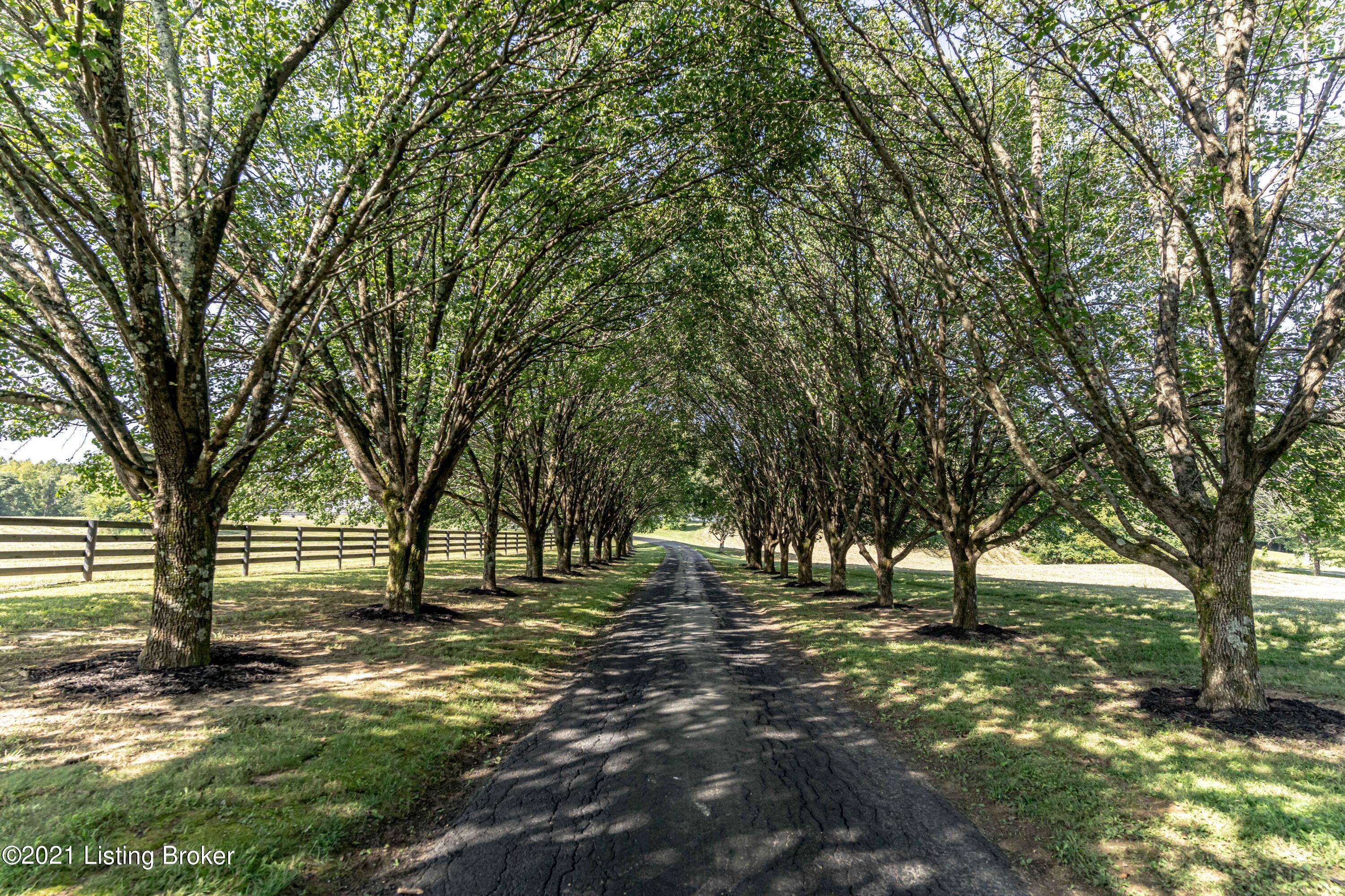4365 Webb Road Simpsonville, KY 40067 - Photo 6 of 146 DSC08898