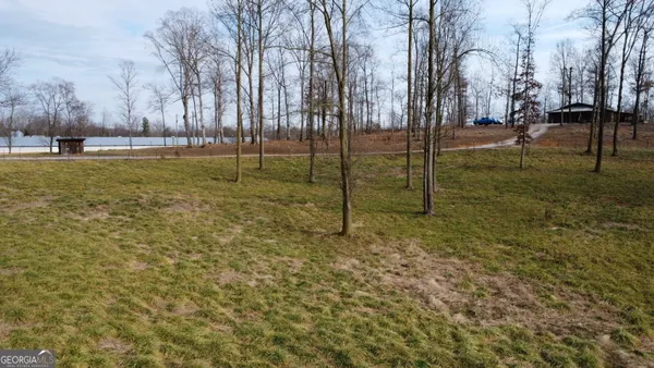 a view of a park with large trees