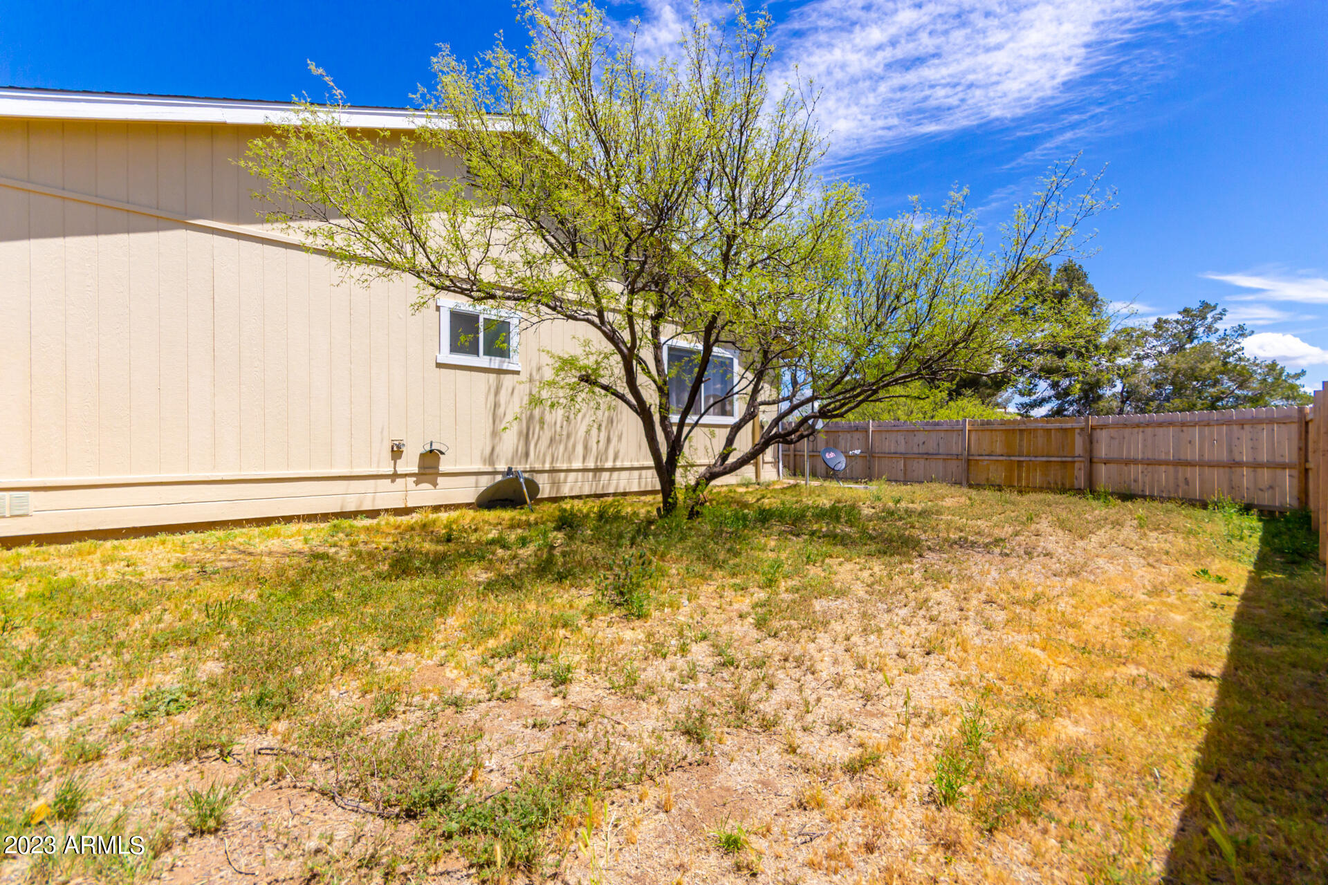 17902 East Trails End Road Spring Valley, AZ 86333 - Photo 36 of 37 Backyard