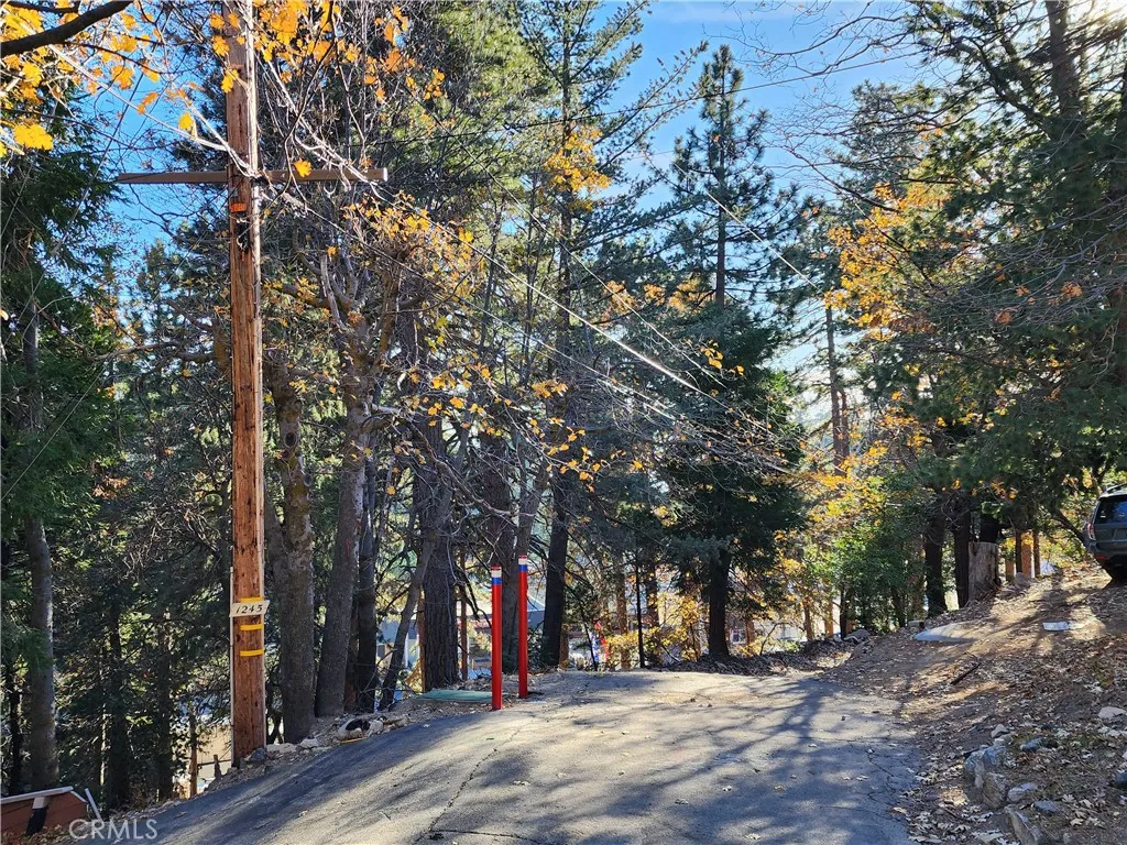 0 Lovers Lane Rimforest, CA 92378 - Photo 11 of 17 a view of road with trees