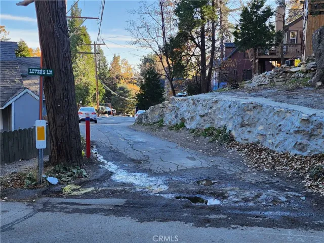 a view of a yard with plants and trees