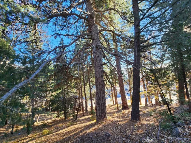 a view of outdoor space with seating area