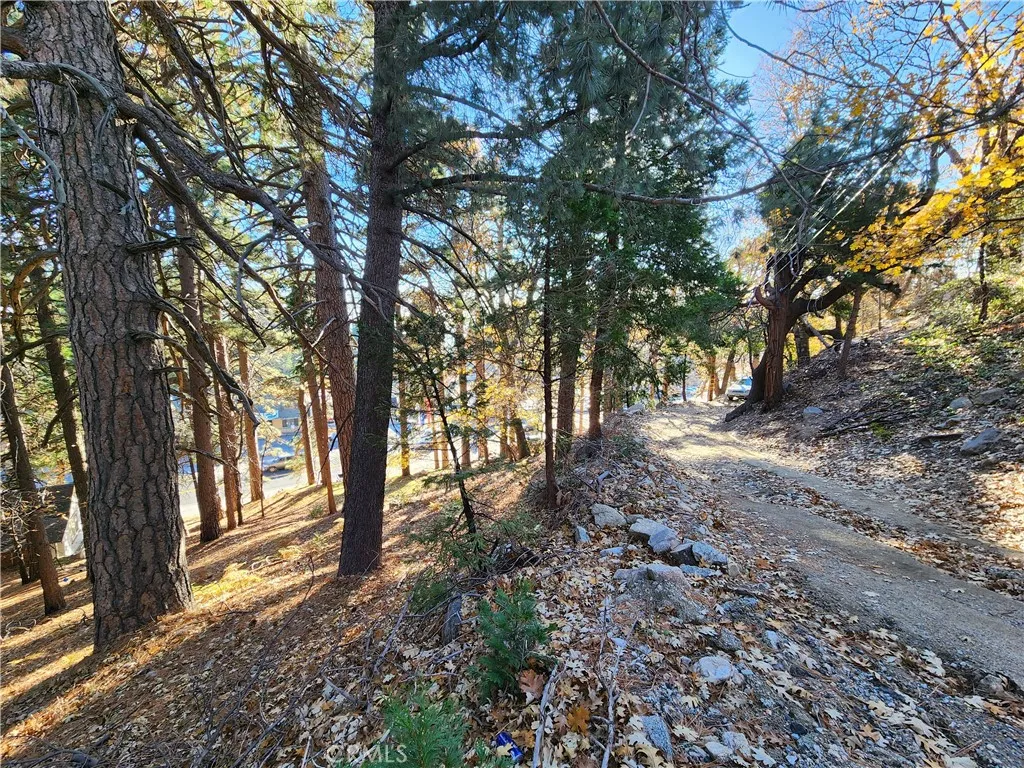 0 Lovers Lane Rimforest, CA 92378 - Photo 7 of 17 a view of outdoor space and trees