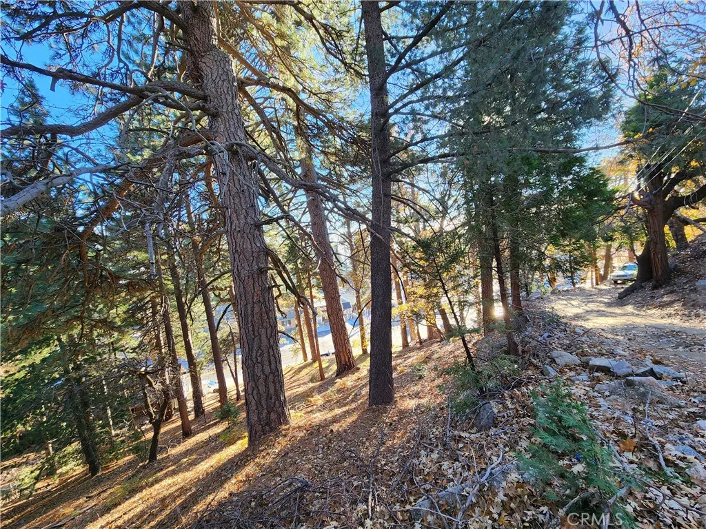 0 Lovers Lane Rimforest, CA 92378 - Photo 8 of 17 a view of outdoor space