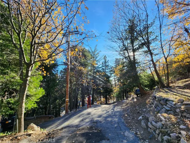 a view of road with trees
