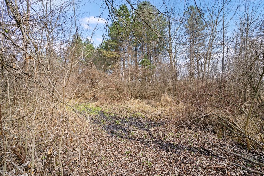 4224 North Henderson Road Davison, MI 48423 - Photo 41 of 42 50129579-eb70a100-1332-4252-adf1-9f4f1d9d5fa5.JPG