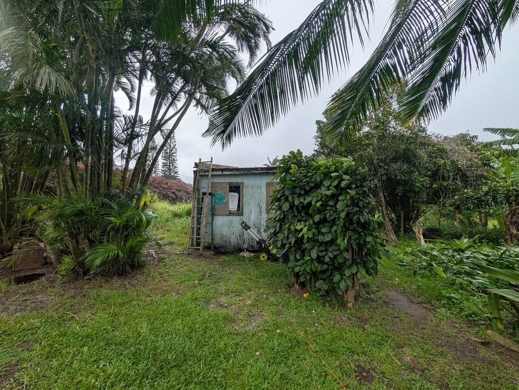 210 Door Of Faith Road Haiku, HI 96708 - Photo 42 of 46 a view of a backyard