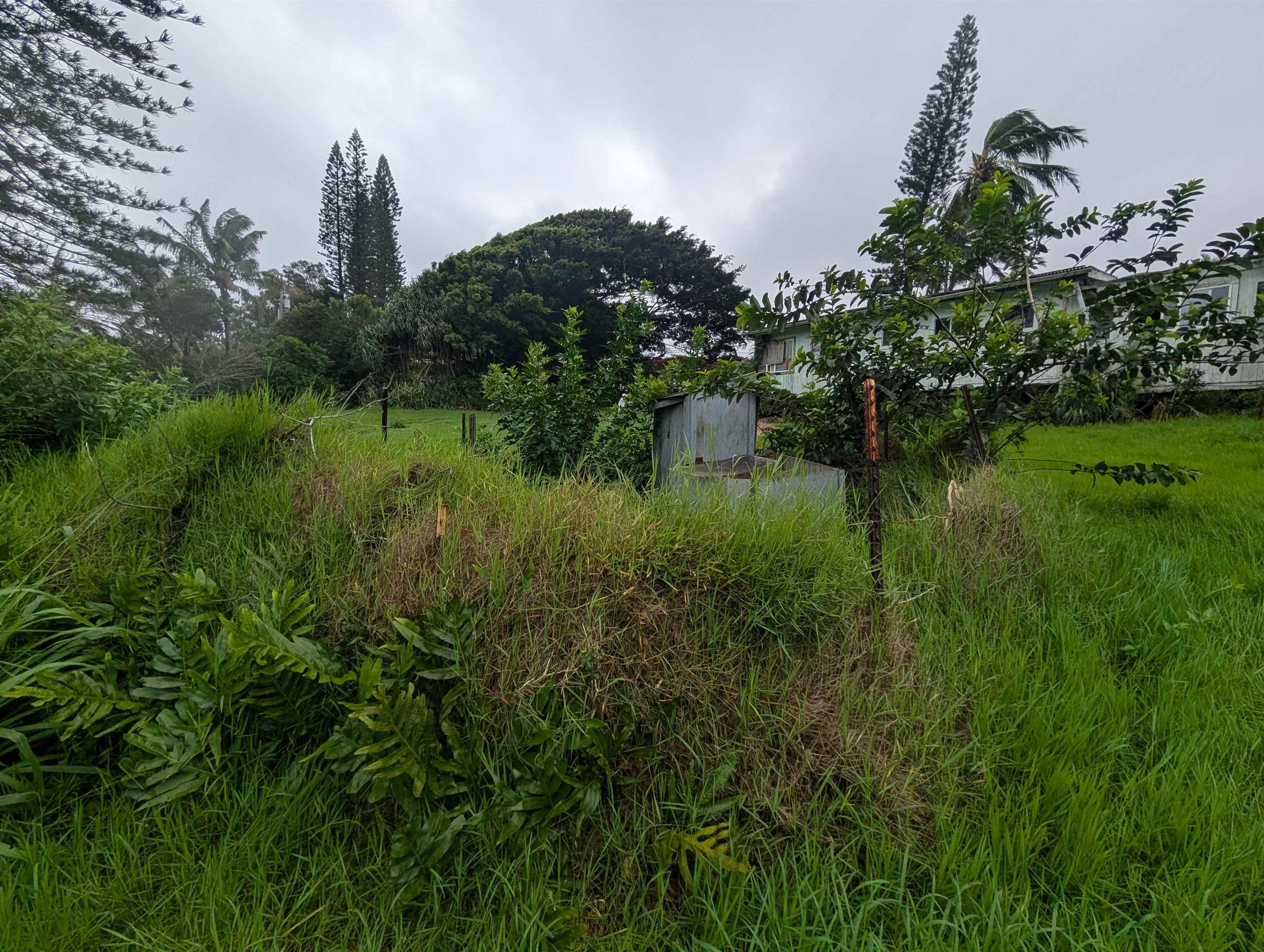 210 Door Of Faith Road Haiku, HI 96708 - Photo 43 of 46 a view of a lake view with a garden