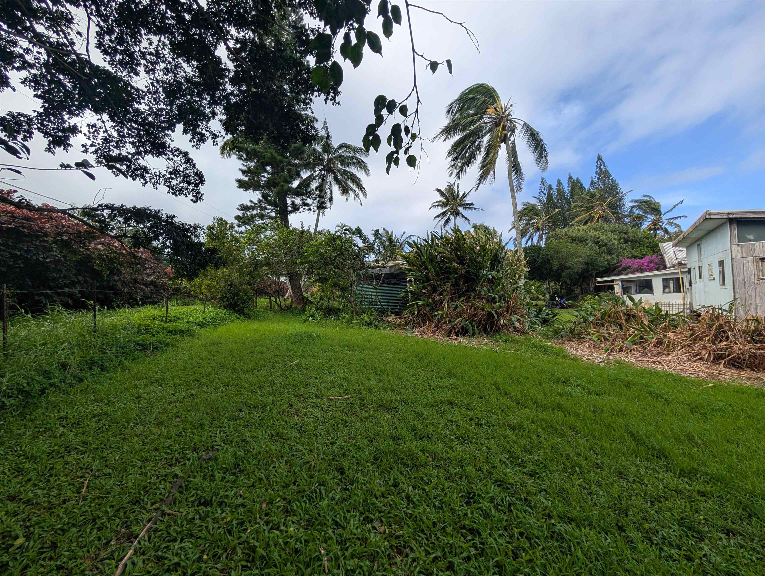 210 Door Of Faith Road Haiku, HI 96708 - Photo 44 of 46 a view of a garden