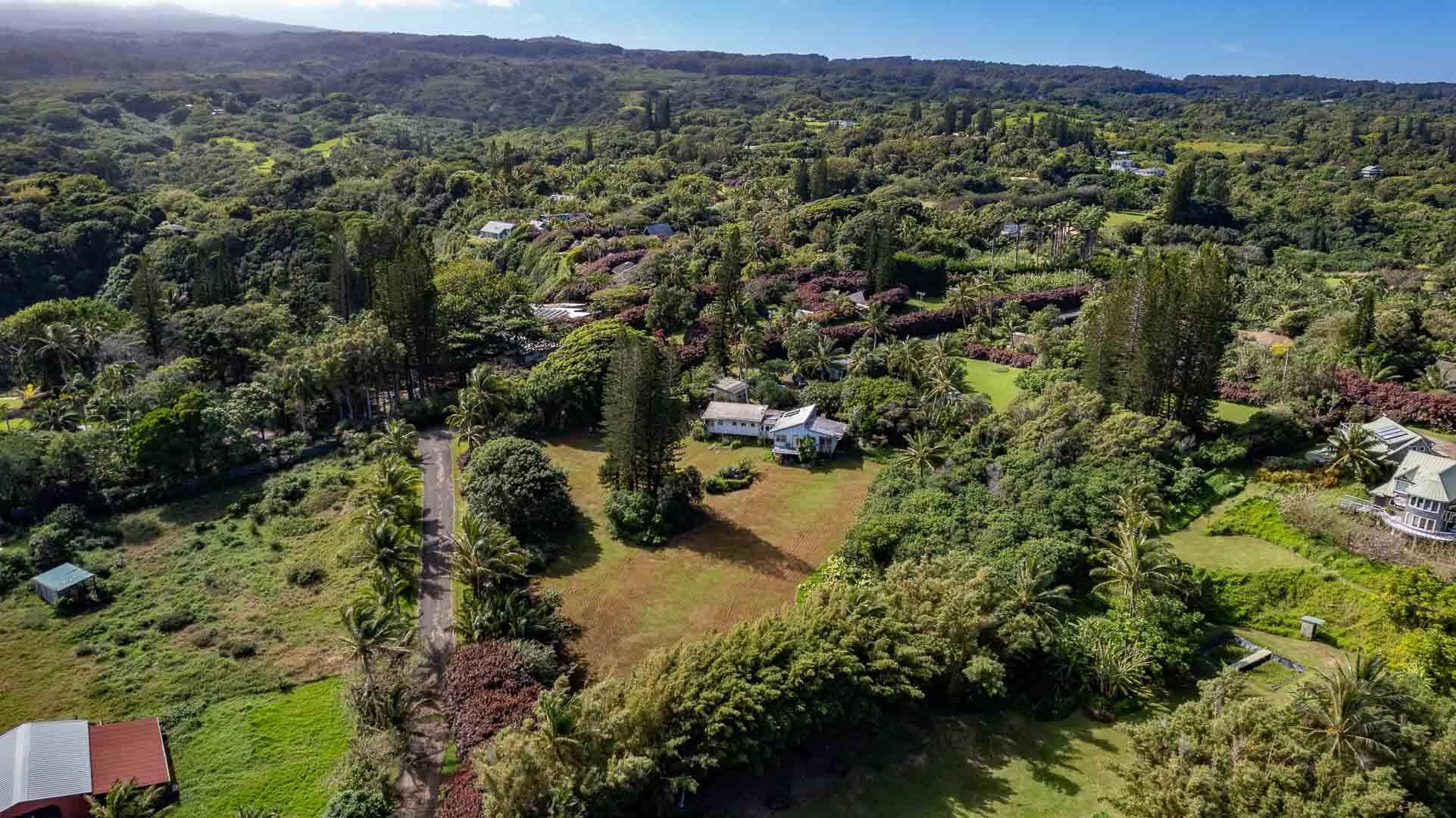 210 Door Of Faith Road Haiku, HI 96708 - Photo 9 of 46 a view of a forest with a lush green forest