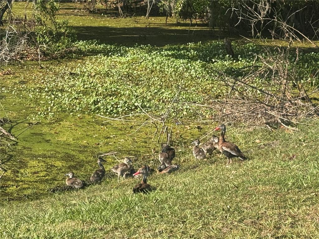 2600 Lucerne Park Road, Unit 514 Winter Haven, FL 33881 - Photo 36 of 38