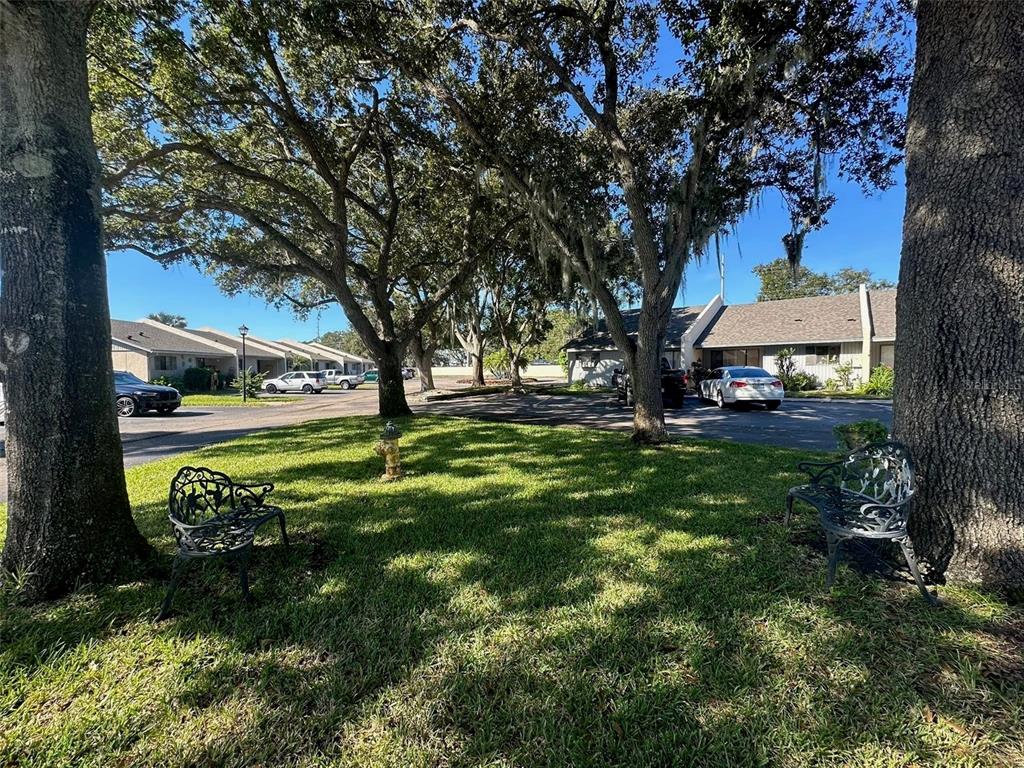 2600 Lucerne Park Road, Unit 514 Winter Haven, FL 33881 - Photo 4 of 38
