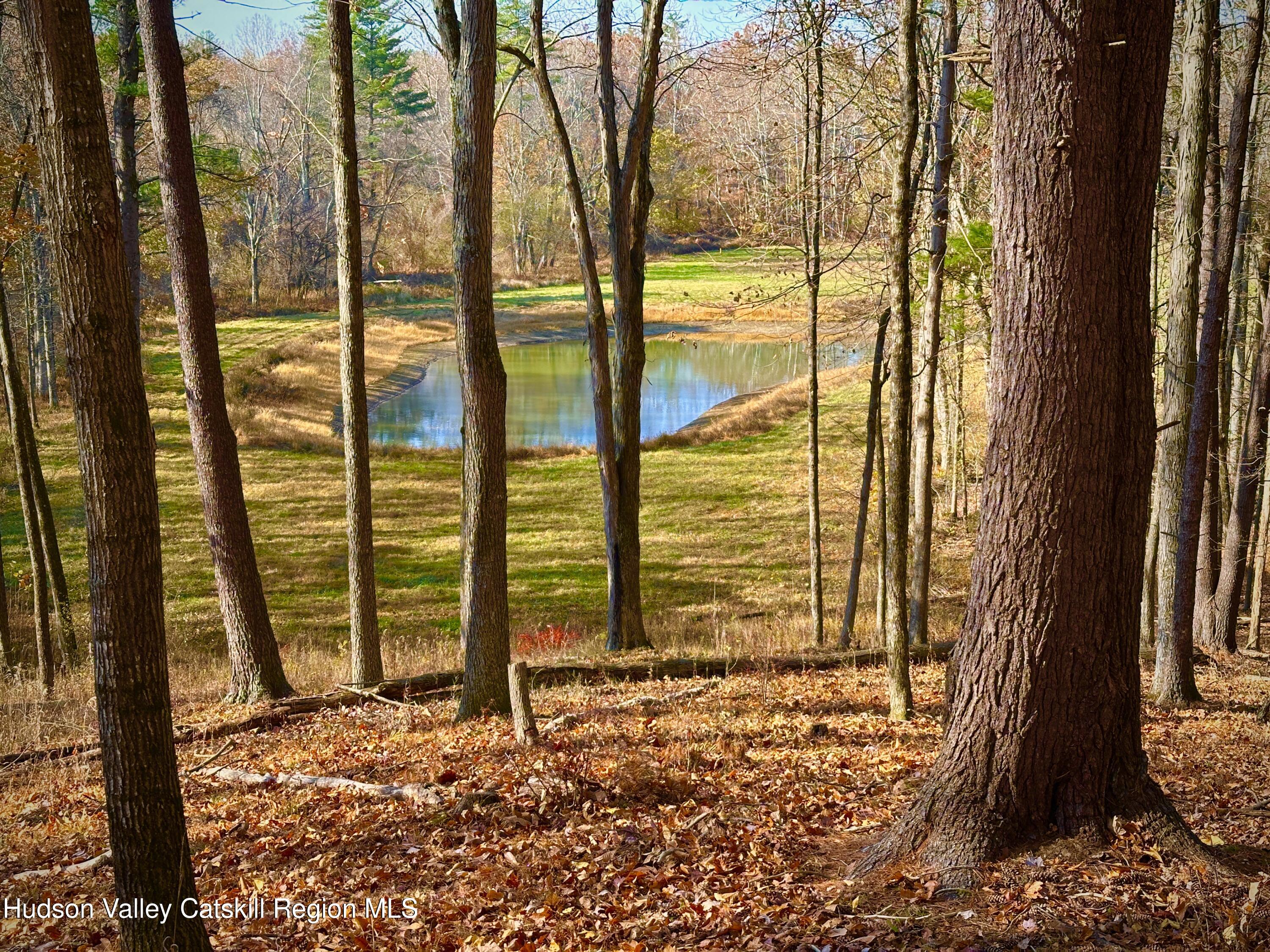 161 Boice Mill Road Kerhonkson, NY 12446 - Photo 38 of 41 IMG_4575