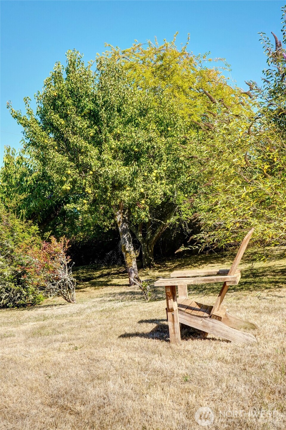 6809 Southwest Maury Park Road Vashon, WA 98070 - Photo 31 of 37 a view of outdoor space and yard