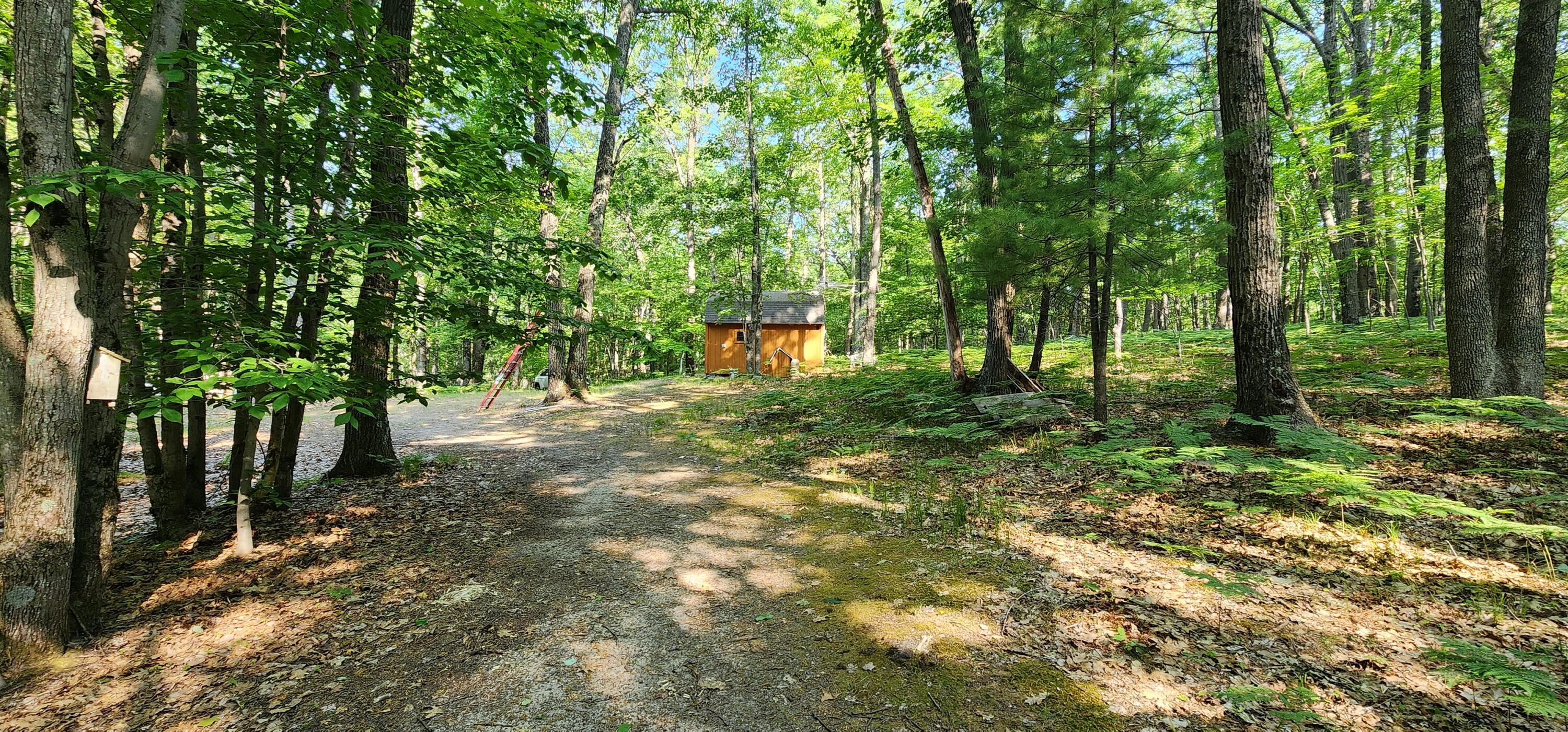 3242 North Taylor Road Branch, MI 49402 - Photo 8 of 20 20230608_094007