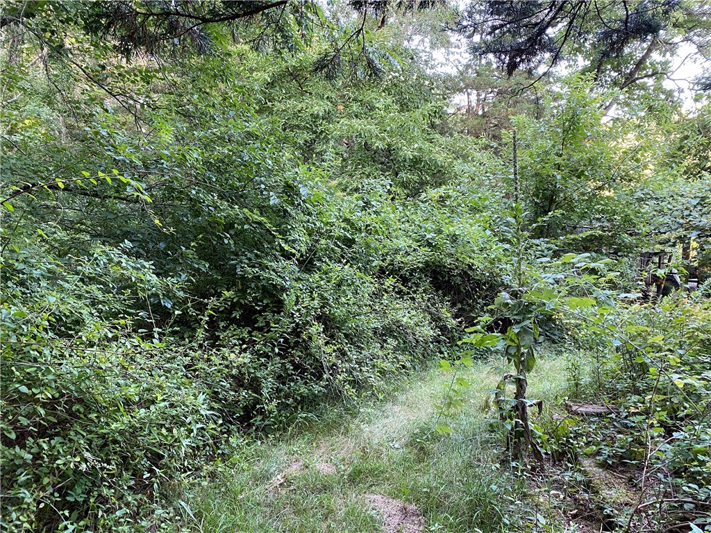 0 Diamond Hill Road Ashaway, RI 02804 - Photo 3 of 10