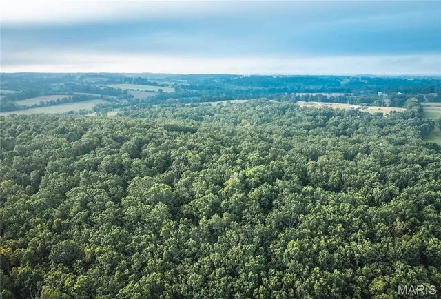 $1,483,200 | 10090 Highway Tt Falcon Mo 65470, Falcon, MO 65470